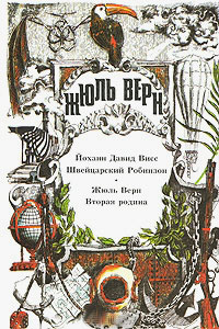Йоханн Дэвид Висс швейцарский Робинзон. Вторая родина, Верн Жюль купить книгу в Либроруме