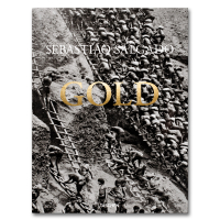 Sebastiao Salgado. Gold, Salgado Sebastiao Salgado Lelia Wanick Riding Alan купить книгу в Либроруме
