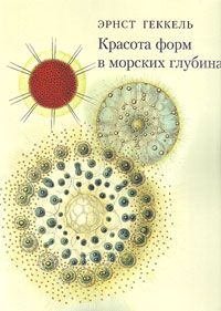 Красота форм в морских глубинах. Атлас радиолярий 1862 года, Геккель Эрнст купить книгу в Либроруме