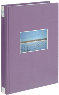 Коллективные действия. Поездки за город. Том 4-5, Монастырский Андрей Викторович купить книгу в Либроруме