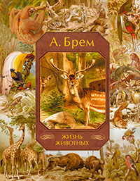 Жизнь животных, Брем Альфред купить книгу в Либроруме