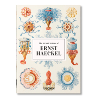 The Art and Science of Ernst Haeckel. 40th Anniversary Edition, Геккель Эрнст Haeckel Ernst Willmann Rainer Voss Julia купить книгу в Либроруме The Art and Science of Ernst Haeckel. 40th Anniversary Edition, Геккель Эрнст Haeckel Ernst Willmann Rainer Voss Julia купить книгу в Либроруме