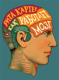 Как работает мозг, Картер Рита купить книгу в Либроруме Как работает мозг, Картер Рита купить книгу в Либроруме