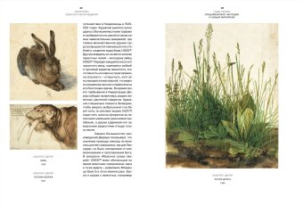 Искусство Северного Возрождения. Духовные и интеллектуальные движения, Бенеш Отто купить книгу в Либроруме Искусство Северного Возрождения. Духовные и интеллектуальные движения, Бенеш Отто купить книгу в Либроруме