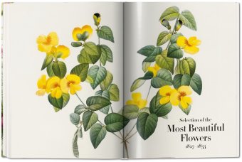 Redoute. The Book of Flowers, Lack H. Walter купить книгу в Либроруме Redoute. The Book of Flowers, Lack H. Walter купить книгу в Либроруме