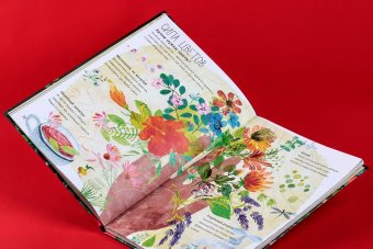 Большая книга цветов, Зоммер Юваль купить книгу в Либроруме