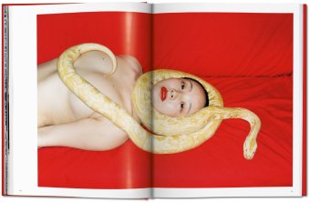 Ren Hang, Hang Ren Hanson Dian купить книгу в Либроруме Ren Hang, Hang Ren Hanson Dian купить книгу в Либроруме