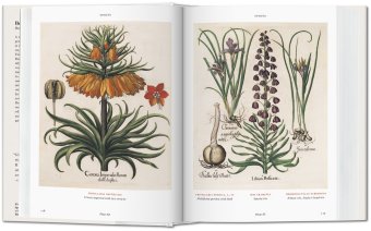 Florilegium. The Book of Plants - The Complete Plates, Littger Klaus Walter Dressendörfer Werner купить книгу в Либроруме Florilegium. The Book of Plants - The Complete Plates, Littger Klaus Walter Dressendörfer Werner купить книгу в Либроруме