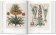 Florilegium. The Book of Plants - The Complete Plates, Littger Klaus Walter Dressendörfer Werner купить книгу в Либроруме Florilegium. The Book of Plants - The Complete Plates, Littger Klaus Walter Dressendörfer Werner купить книгу в Либроруме