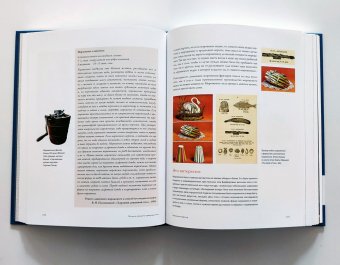 Тайны и истории забытых вещей, Прокофьева Ольга купить книгу в Либроруме