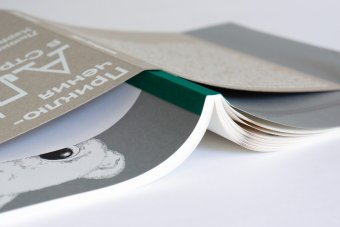 Приключения Алисы в Стране чудес. Художник Павел Пепперштейн, Кэрролл Льюис купить книгу в Либроруме