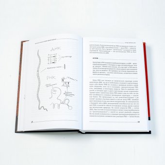 Хлопок одной ладонью. Как неживая природа породила человеческий разум, Кукушкин Николай Вадимович купить книгу в Либроруме Хлопок одной ладонью. Как неживая природа породила человеческий разум, Кукушкин Николай Вадимович купить книгу в Либроруме