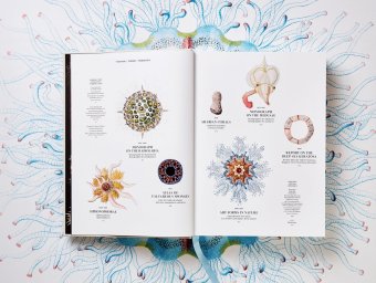 The Art and Science of Ernst Haeckel, Геккель Эрнст Haeckel Ernst Willmann Rainer Voss Julia купить книгу в Либроруме The Art and Science of Ernst Haeckel, Геккель Эрнст Haeckel Ernst Willmann Rainer Voss Julia купить книгу в Либроруме