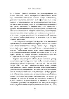 Что знает рыба. Внутренний мир наших подводных собратьев, Бэлкомб Джонатан купить книгу в Либроруме