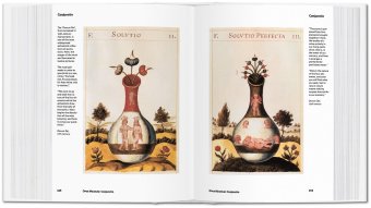 Alchemy & Mysticism, Roob Alexander купить книгу в Либроруме Alchemy & Mysticism, Roob Alexander купить книгу в Либроруме