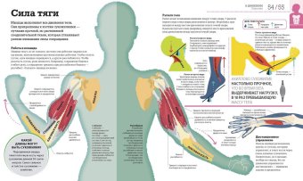 Как работает тело, Темпл Никола Смит Вирджиния купить книгу в Либроруме