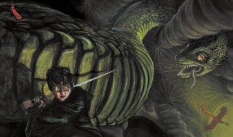 Гарри Поттер и Тайная комната, Роулинг Джоан купить книгу в Либроруме