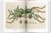 A Garden Eden. Masterpieces of Botanical Illustration, Lack H. Walter купить книгу в Либроруме A Garden Eden. Masterpieces of Botanical Illustration, Lack H. Walter купить книгу в Либроруме