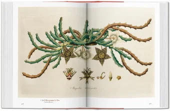 A Garden Eden. Masterpieces of Botanical Illustration. 40th Anniversary Edition, Lack H. Walter купить книгу в Либроруме A Garden Eden. Masterpieces of Botanical Illustration. 40th Anniversary Edition, Lack H. Walter купить книгу в Либроруме