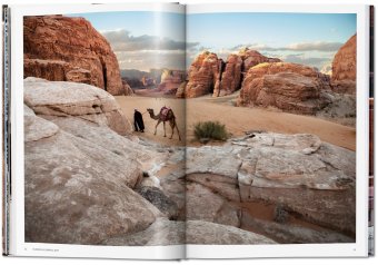 Steve McCurry. Animals, McCurry Steve Golden Reuel купить книгу в Либроруме Steve McCurry. Animals, McCurry Steve Golden Reuel купить книгу в Либроруме