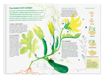 Сад круглый год. Что такое пермакультура, Пон Нелли Жезак Иоанна купить книгу в Либроруме Сад круглый год. Что такое пермакультура, Пон Нелли Жезак Иоанна купить книгу в Либроруме