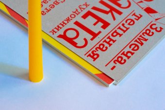 Замечательная ракета. Художник Светлана Шуваева, Уайльд Оскар купить книгу в Либроруме