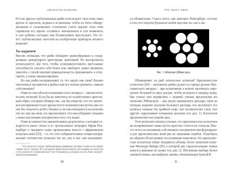 Что знает рыба. Внутренний мир наших подводных собратьев, Бэлкомб Джонатан купить книгу в Либроруме