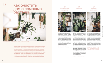 Окей, джунгли! Счастливая жизнь с растениями, Йосифович Игорь Граф Джудит де купить книгу в Либроруме Окей, джунгли! Счастливая жизнь с растениями, Йосифович Игорь Граф Джудит де купить книгу в Либроруме