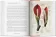 A Garden Eden. Masterpieces of Botanical Illustration. 40th Anniversary Edition, Lack H. Walter купить книгу в Либроруме A Garden Eden. Masterpieces of Botanical Illustration. 40th Anniversary Edition, Lack H. Walter купить книгу в Либроруме