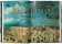 Bruegel. The Complete Paintings. 40th Anniversary Edition, Müller Jürgen купить книгу в Либроруме Bruegel. The Complete Paintings. 40th Anniversary Edition, Müller Jürgen купить книгу в Либроруме