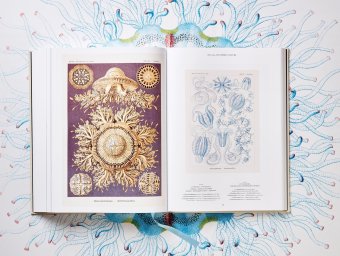 The Art and Science of Ernst Haeckel, Геккель Эрнст Haeckel Ernst Willmann Rainer Voss Julia купить книгу в Либроруме The Art and Science of Ernst Haeckel, Геккель Эрнст Haeckel Ernst Willmann Rainer Voss Julia купить книгу в Либроруме