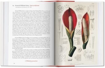 A Garden Eden. Masterpieces of Botanical Illustration, Lack H. Walter купить книгу в Либроруме A Garden Eden. Masterpieces of Botanical Illustration, Lack H. Walter купить книгу в Либроруме