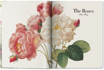 Redoute. The Book of Flowers, Lack H. Walter купить книгу в Либроруме Redoute. The Book of Flowers, Lack H. Walter купить книгу в Либроруме
