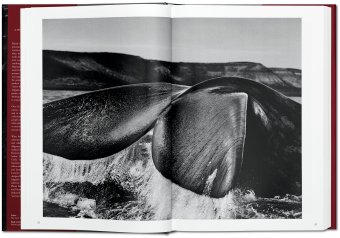Sebastiao Salgado. Genesis, Salgado Lelia Wanick купить книгу в Либроруме Sebastiao Salgado. Genesis, Salgado Lelia Wanick купить книгу в Либроруме