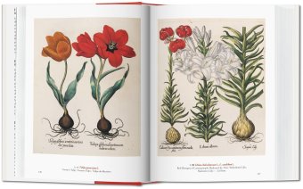A Garden Eden. Masterpieces of Botanical Illustration, Lack H. Walter купить книгу в Либроруме A Garden Eden. Masterpieces of Botanical Illustration, Lack H. Walter купить книгу в Либроруме