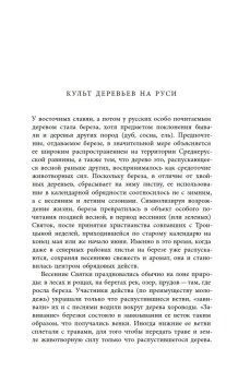 Русская елка. История, мифология, литература, Душечкина Елена Владимировна купить книгу в Либроруме Русская елка. История, мифология, литература, Душечкина Елена Владимировна купить книгу в Либроруме