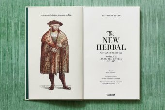 Leonhart Fuchs. The New Herbal, Dressendörfer Werner купить книгу в Либроруме Leonhart Fuchs. The New Herbal, Dressendörfer Werner купить книгу в Либроруме