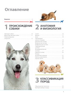 Собаки. Подарочная иллюстрированная энциклопедия, Шкляев Андрей Николаевич купить книгу в Либроруме