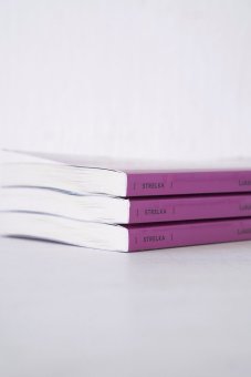 Introduction to comparative planetology, Lukáš Likavčan купить книгу в Либроруме