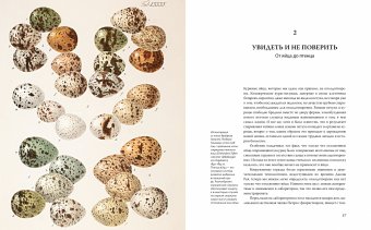 Иллюстрированная история орнитологии, Беркхед Тим купить книгу в Либроруме