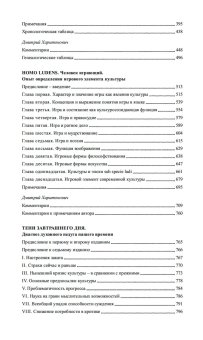 Осень Средневековья. Homo ludens. Эссе, Хёйзинга Йохан купить книгу в Либроруме