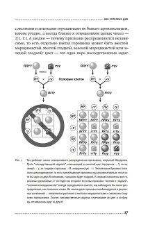 ДНК и её человек. Краткая история ДНК-идентификации, Клещенко Елена Владимировна купить книгу в Либроруме