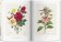 Redoute. The Book of Flowers, Lack H. Walter купить книгу в Либроруме Redoute. The Book of Flowers, Lack H. Walter купить книгу в Либроруме