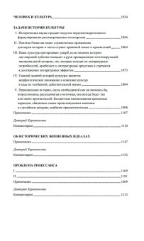 Осень Средневековья. Homo ludens. Эссе, Хёйзинга Йохан купить книгу в Либроруме