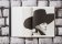 Peter Lindbergh. Dior, Harrison Martin Peter Lindbergh купить книгу в Либроруме Peter Lindbergh. Dior, Harrison Martin Peter Lindbergh купить книгу в Либроруме