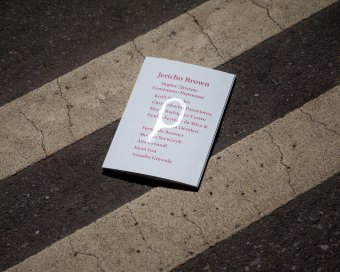 Дуплекс, Джерико Браун купить книгу в Либроруме Дуплекс, Джерико Браун купить книгу в Либроруме