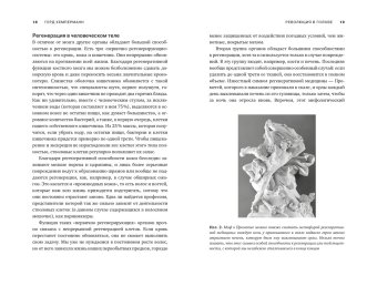 Революция в голове. Как новые нервные клетки омолаживают мозг, Кемперманн Герд купить книгу в Либроруме