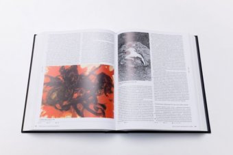 Искусство с 1900 года. Модернизм, антимодернизм, постмодернизм, Краусс Розалинд Буа Ив-Ален Бухло Бенджамин Хайнц-Дитер Джослит Дэвид Фостер Хэл купить книгу в Либроруме