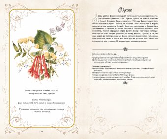 Тайный язык цветов, Джилл Дэвис Джилл Сондерс купить книгу в Либроруме