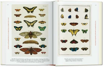 Seba. Cabinet of Natural Curiosities. 40th Anniversary Edition, Müsch Irmgard Rust Jes Willmann Rainer купить книгу в Либроруме Seba. Cabinet of Natural Curiosities. 40th Anniversary Edition, Müsch Irmgard Rust Jes Willmann Rainer купить книгу в Либроруме